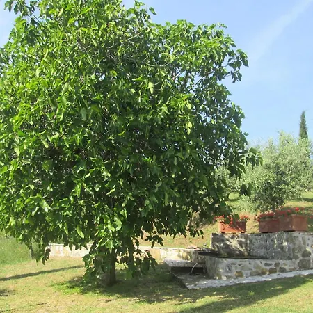 In Castelnuovo Val Di Cec Dom wakacyjny