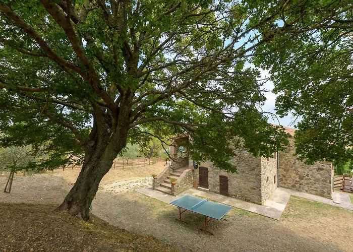Amazing In Castelnuovo Val Di Cec 切奇纳谷新堡